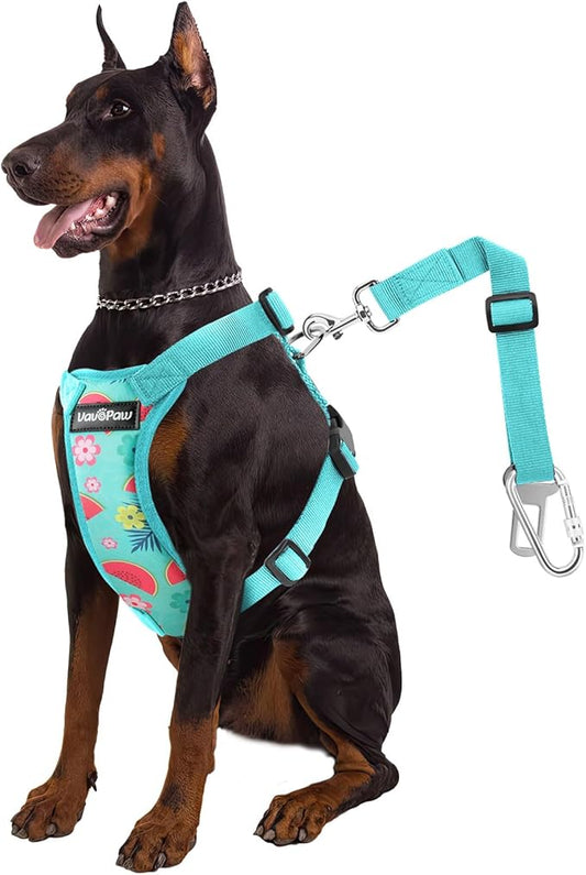 Dog Vehicle Safety Vest Harness, Adjustable Soft Padded Mesh Car Seat Belt Leash Harness with Travel Strap and Carabiner for Most Cars, XXL Size, Lake Blue Flower