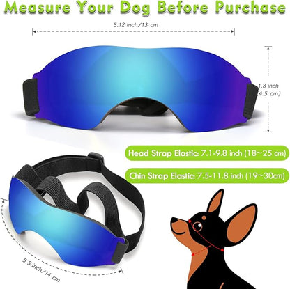 Small Dog Sunglasses