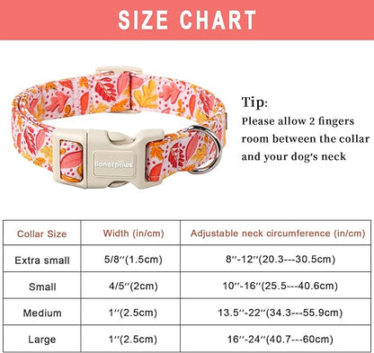 Lionet Paws Dogs Collar Fall 16-24 inches