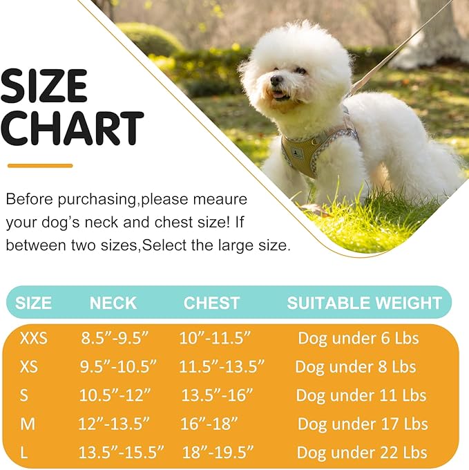 Dog Harness and Leash Set, No Pull Pet Harness for Small Dogs Easy Walking,Soft Breathable Small Dog Harness,Adjustable Reflective Step in Vest Harness for Puppy,Kitten, Cats