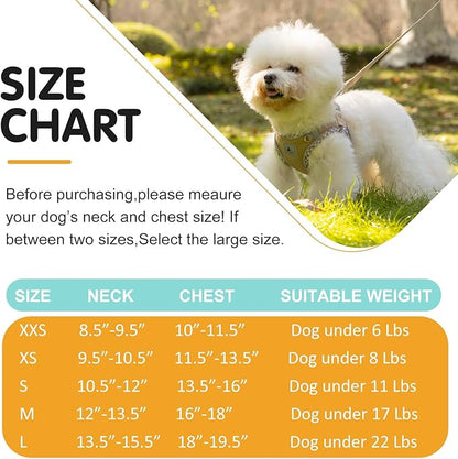 Dog Harness and Leash Set, No Pull Pet Harness for Small Dogs Easy Walking,Soft Breathable Small Dog Harness,Adjustable Reflective Step in Vest Harness for Puppy,Kitten, Cats