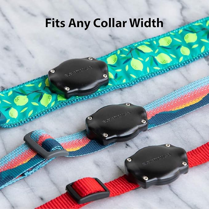 TagVault™ AirTag Dog Collar Mount (4 Pack) - IP68 Waterproof, Doesn't Dangle, Fits All Width Collars | Elevation Lab