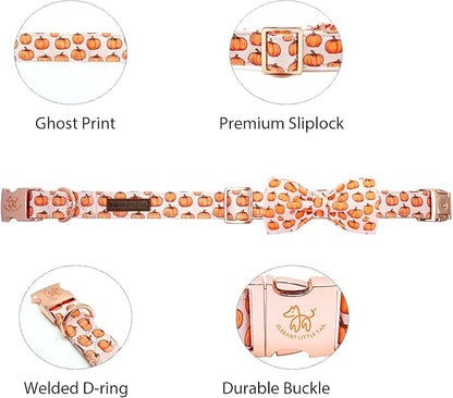 Elegant little tail Fall Dog Collar