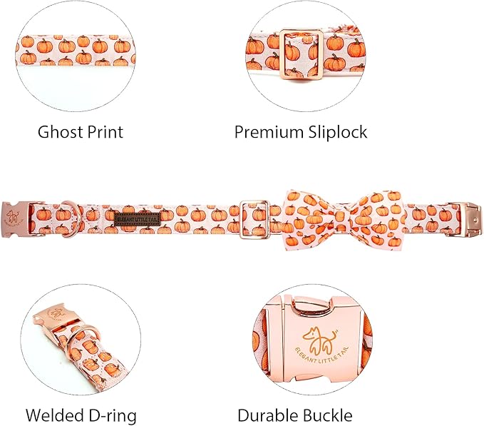 Elegant little tail Fall Dog Collar