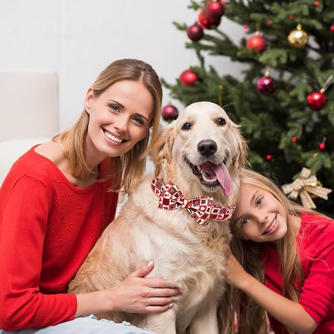 Christmas Day Dog Collar with Bow Red Green