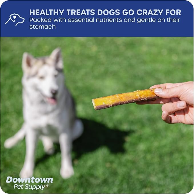 Downtown Pet Supply USA Sourced 6", 5 Lb. Jumbo Bully Sticks for Large Dogs - Rawhide Free Dog Chews Long Lasting and Non-Splintering - Single Ingredient, Low Odor Bully Sticks for Medium Dogs