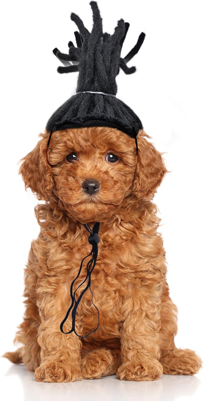 Pet Rockstar Wig
