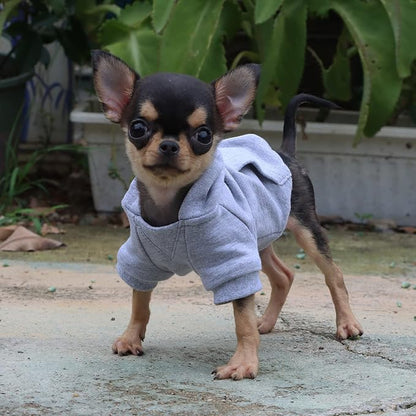 LOPHIPETS Lightweight Cotton Hoodie for Small Dogs – Hooded Sweatshirt for Chihuahuas Puppy and Toy Breeds-Grey/XXS