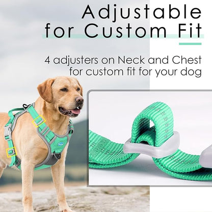 ThinkPet No Pull Harness Breathable Sport Harness with Handle-Dog Harnesses Reflective Adjustable for Medium Large Dogs,Back/Front Clip for Easy Control S Teal