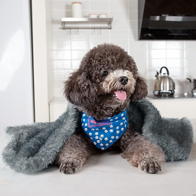 MACEVIA Fluffy Fleece Dog Blankets (24x29 Inch,