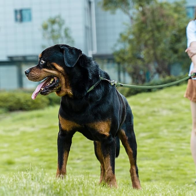 Dog Leash ((1/2") - 2FT, Dark