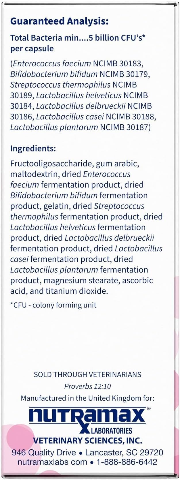 Nutramax Proviable Digestive Health Supplement Multi-Strain Probiotics and Prebiotics for Cats and Dogs - With 7 Strains of Bacteria, 30 Capsules