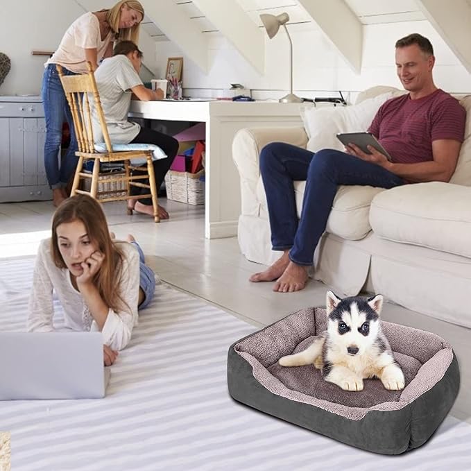 PUPPBUDD Dog Beds for Medium Dogs