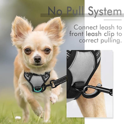 rabbitgoo Dog Harness, No-Pull Pet Harness with 2 Leash Clips, Adjustable Soft Padded Dog Vest, Reflective No-Choke Pet Oxford Vest with Easy Control Handle for Small Dogs, Grey, XS