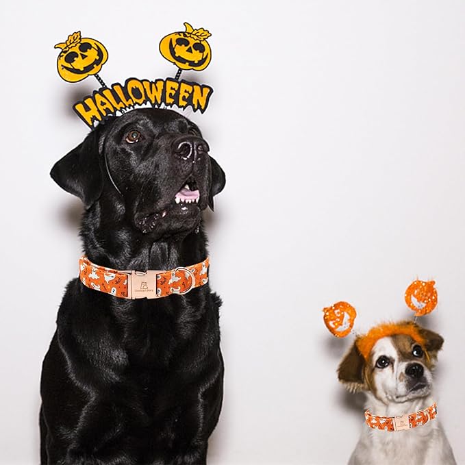 Lionheart glory Halloween Dog Collars