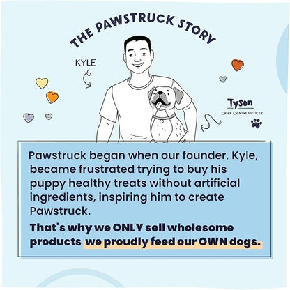 Pawstruck All Natural Air Dried Dog Food w/Real Chicken - Grain Free, Made in USA, Non-GMO & Vet Recommended - High Protein Limited Ingredient Full-Feed - for All Breeds & Ages - 2.5oz Trial Bag