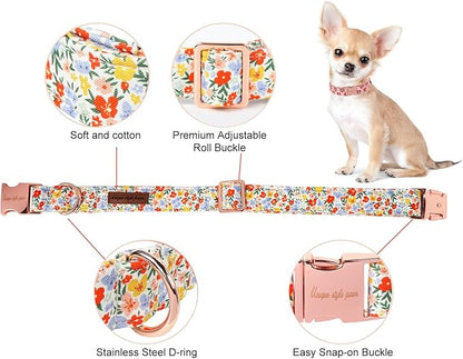 Unique Style Paws Summer Dog Collar