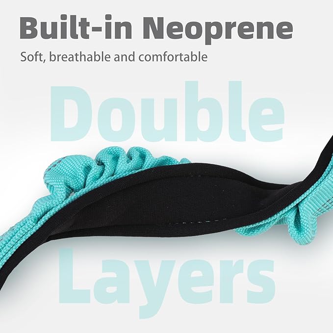 PUPTECK Heavy Duty Dog Collar with Handle Bungee for Small Medium Large Dogs