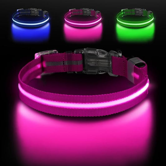 Led Dog Collar for Night Walking