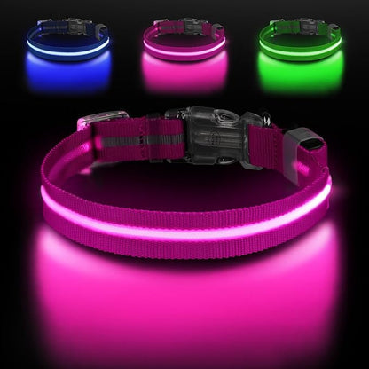 Led Dog Collar for Night Walking