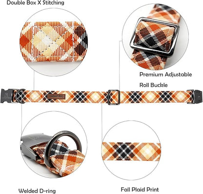 Lionheart glory Plaid Dog Collars Fall Halloween Dog