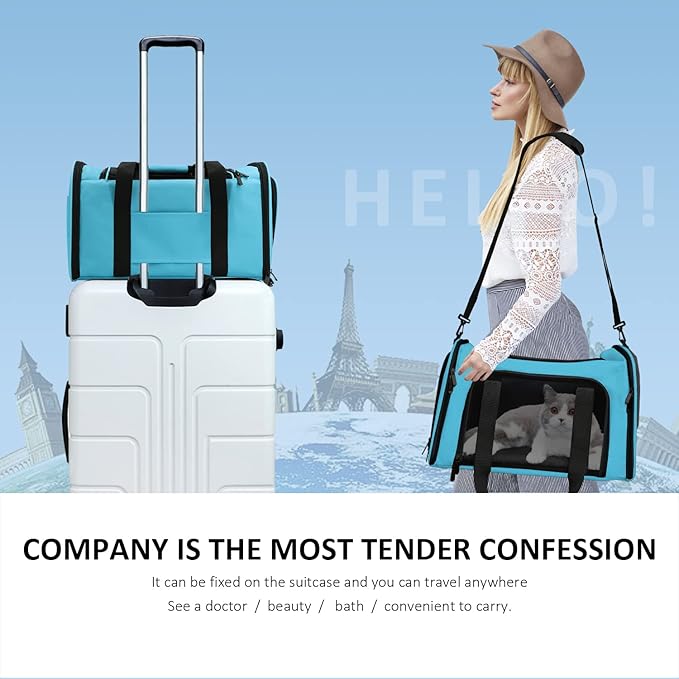 Henkelion Large Cat Carriers Dog Carrier Pet Carrier for Large Cats Dogs Puppies up to 25Lbs, Big Dog Carrier Soft Sided, Collapsible Travel Puppy Carrier - Large - Blue