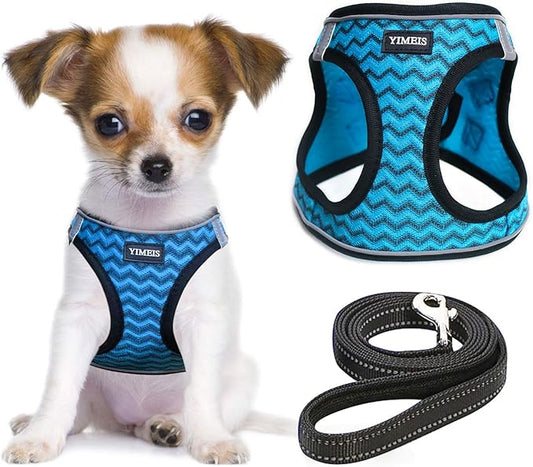 YIMEIS Dog Harness and Leash Set, No Pull Soft Mesh Pet Harness, Reflective Adjustable Puppy Vest for Small Dogs, Cats (S, Blue)