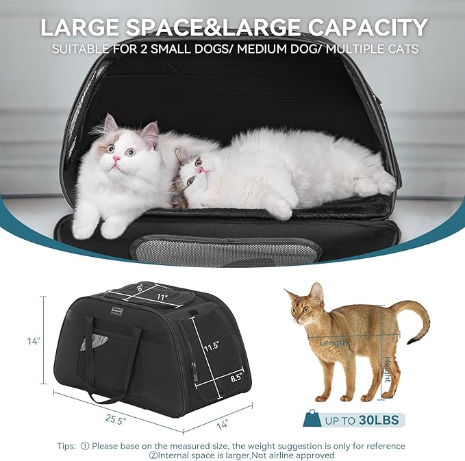 PETSFIT Extra Large Pet Carrier with Wheels Designed for 2 Small Dogs/Multiple Kittens/Medium Dogs with Adjustable Safety Rope & Waterproof Bottom (𝑵𝒐𝒕 𝑨𝒊𝒓𝒍𝒊𝒏𝒆 𝑨𝒑𝒑𝒓𝒐𝒗𝒆𝒅)