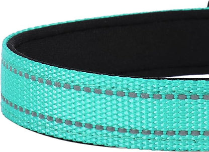 Reflective Dog Collar