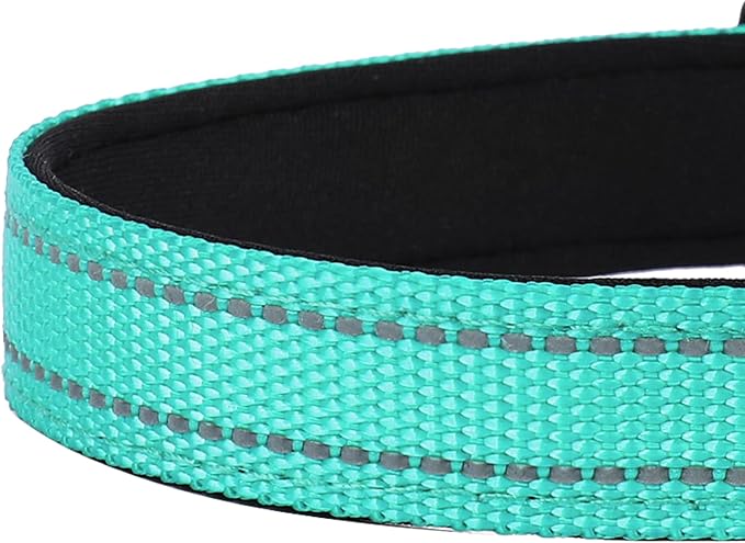Reflective Dog Collar