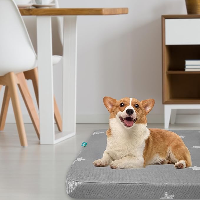 Memory Foam Dog Crate Bed for 42 Inch Crate