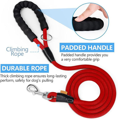 Dog Leash ((1/3") - 6FT, Red)