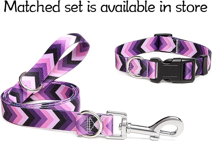 Adjustable Dog Collar with Patterns