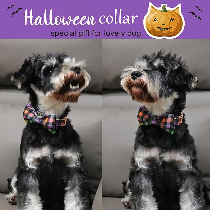 ARING PET Halloween Dog Collar