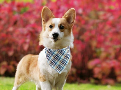 Lionet Paws Dog Bandana Washable Cotton Handkerchief Scarf