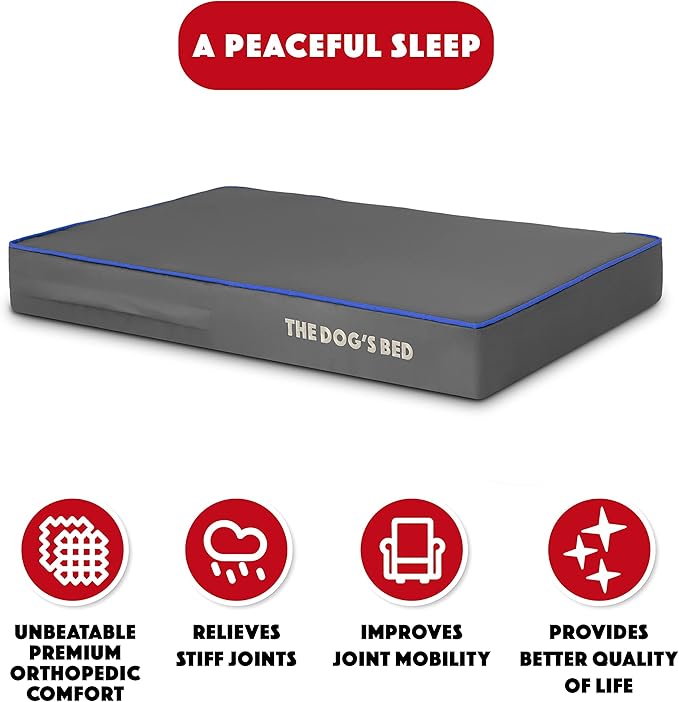 The Dog’s Bed Orthopedic Memory Foam Dog Bed 34x22, Pain