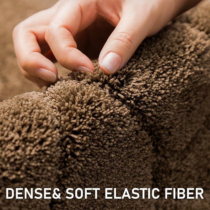 Large Dog Door Mat for Muddy Paws 24x59 Absorbent