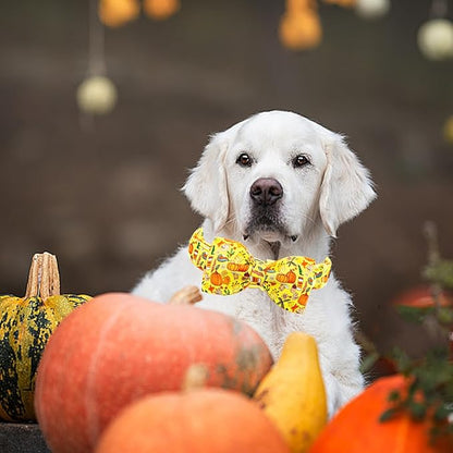 Lionheart glory Fall Dog Collar with Bowtie Halloween Pumpkin Dog Collars Bow Tie Heavy Soft Adjustable Collar for Small Dogs Thanksgiving Day Dog Bow Collar Pet Gift
