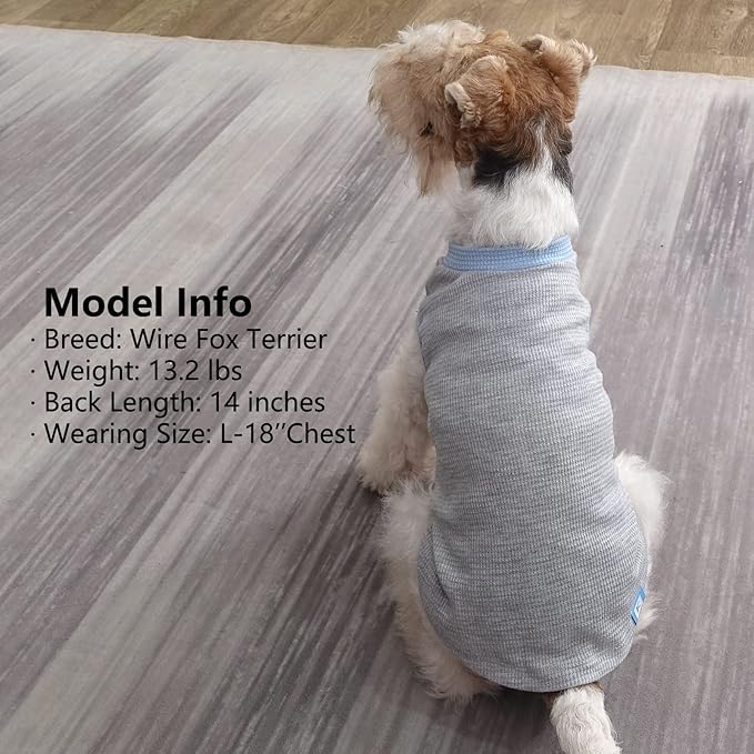 KYEESE 2Pack Dog Shirts Waffle for Small Dogs Stretchy Dog T-Shirts Lightweight Dog Tank Top Sleeveless Dog Vest Breathable Cat Shirt