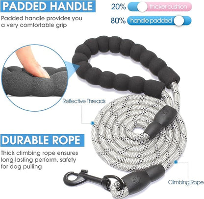 BAAPET 2/4/5/6 FT Dog Leash with Comfortable Padded Handle and Highly Reflective Threads for Small Medium and Large Dogs (5FT-1/3''