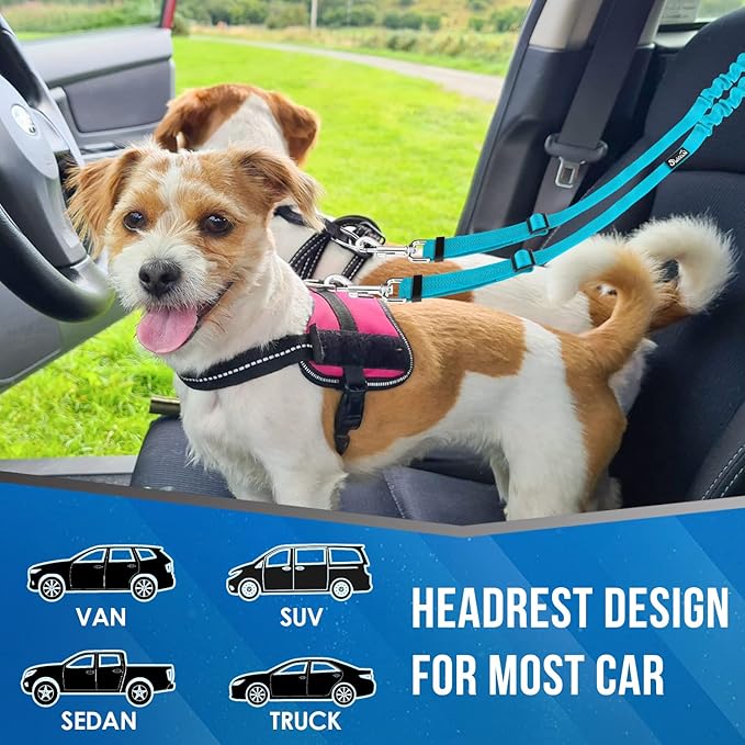 Lukovee Double Dog Seat Belt, New Dual Pet Car Headrest Restraint Safety Seatbelt No Tangle Dog Leash Duty Adjust Elastic Bungee Puppy Lead Splitter Connect Harness in Vehicle Travel for 2 Dogs (TBL)