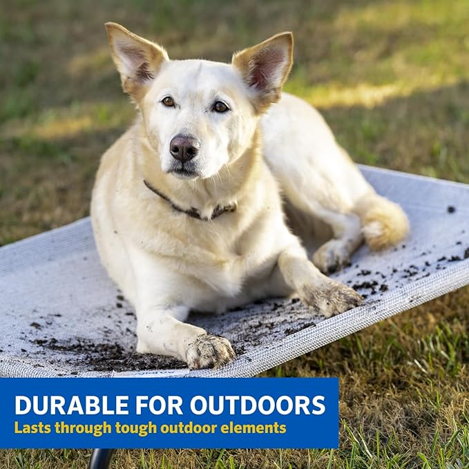 Coolaroo Gale Pacific The Original Cooling Elevated Dog Bed 51.00" x 31.50" x 8.00"