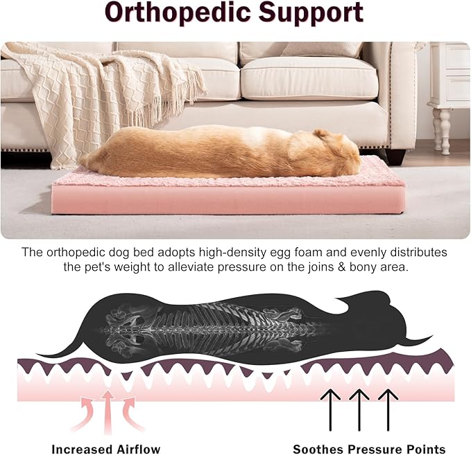 JOEJOY Orthopedic Dog Bed for Medium Small Dogs 30x20 Inch,