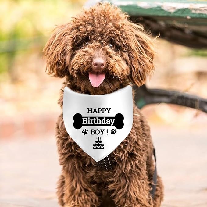 Birthday Boy Dog Bandanas, Dog Birthday Bandana Triangle Scarf Puppy Birthday Dog Birthday Party Supplies for Medium, Large Dogs