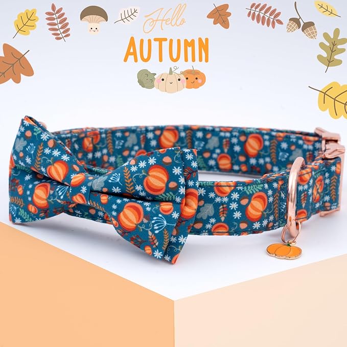 Faygarsle Bow Tie Dog Collar Halloween Fall