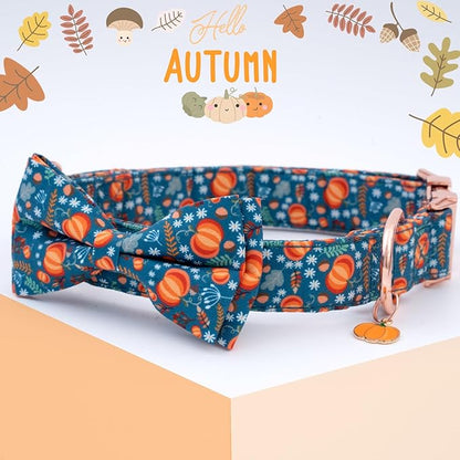 Faygarsle Bow Tie Dog Collar Halloween Fall
