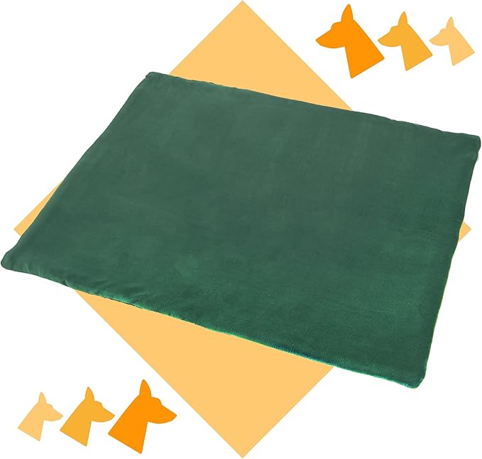 Dog Mat 27.5 x 39.3 in