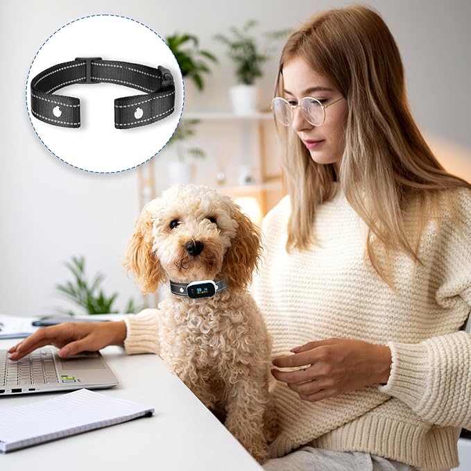 Reflective Collar Replacement Strap (2.5 cm