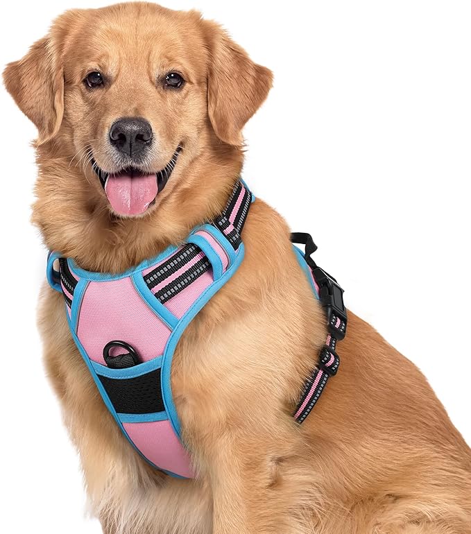 rabbitgoo Dog Harness, No-Pull Pet Harness with 2 Leash Clips, Adjustable Soft Padded Dog Vest, Reflective No-Choke Pet Oxford Vest with Easy Control Handle for Large Dogs, Pink & Blue, XL