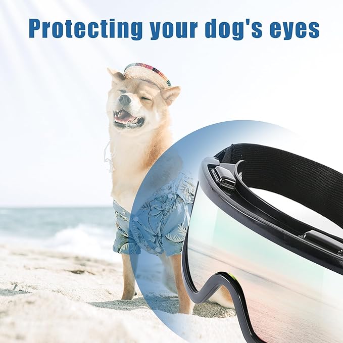 Dog Goggles Large Breed